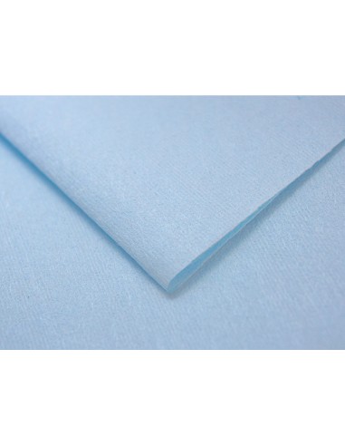 Bayeta Microfibra  Especial Azul 38x47 cm. 100...