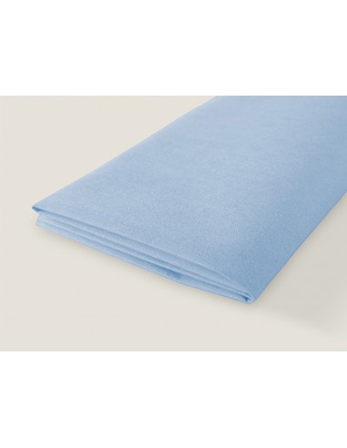 Bayeta Microfibra  Especial Azul 38x47 cm. 100...