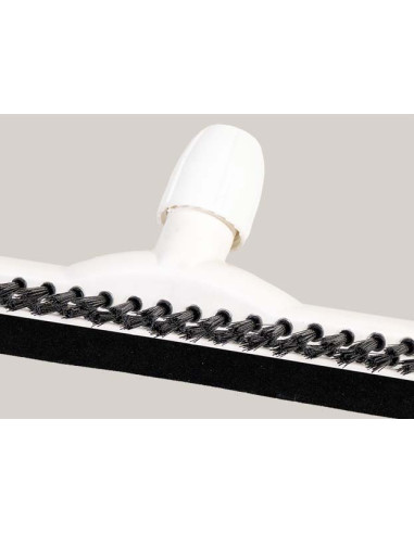 Haragán con cepillo