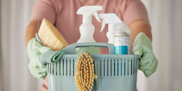 ¿Qué productos de limpieza son recomendados para un hogar?