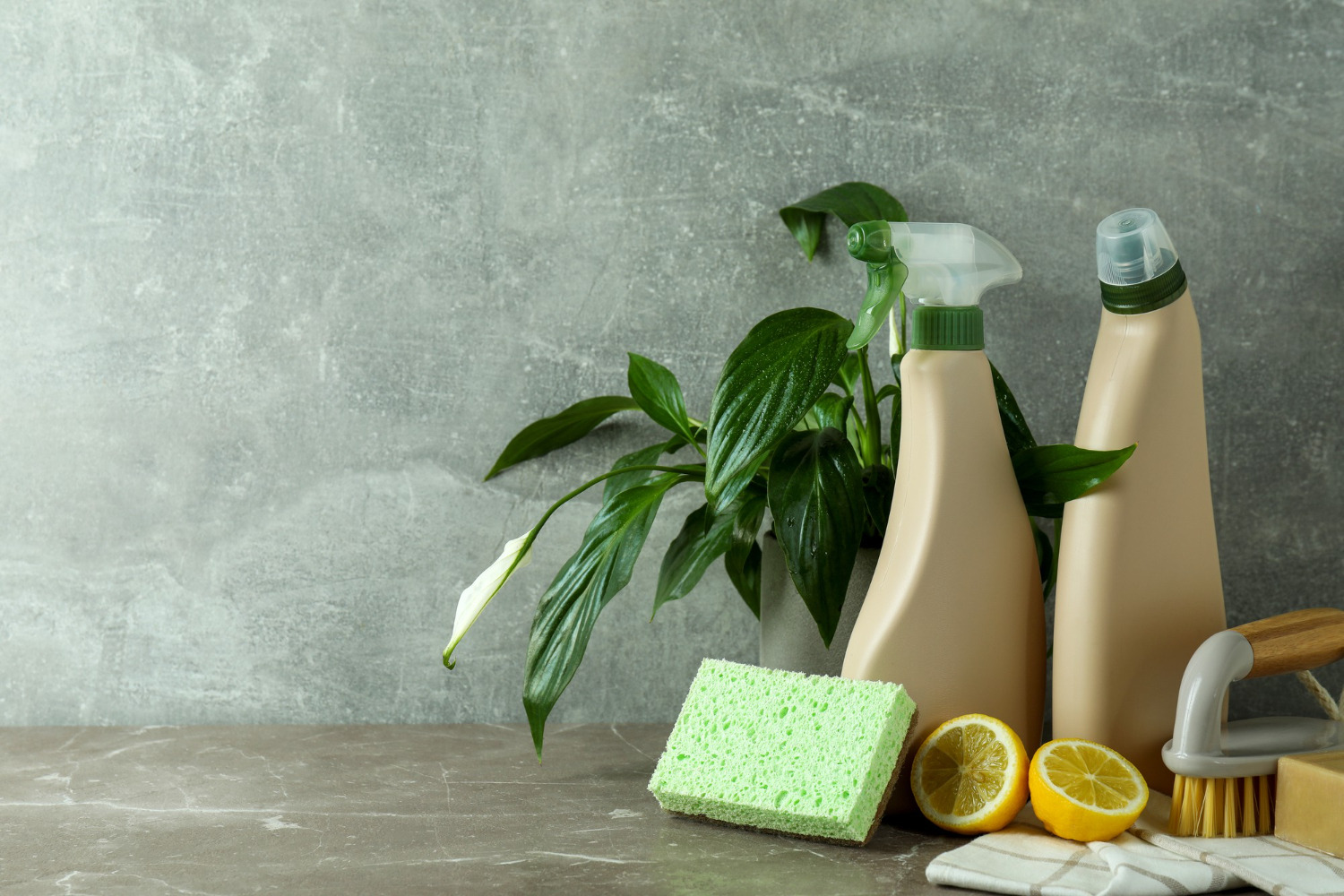 Limpieza ecológica: Qué es y mejores productos